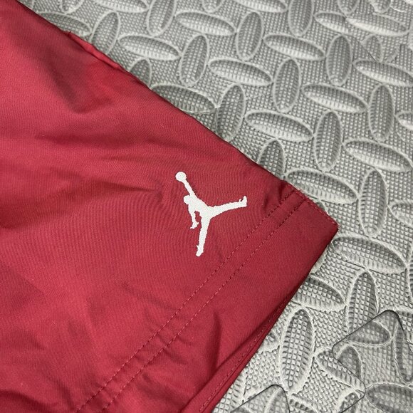 Jordan Shorts Size Large Mens Essentials 5" Poolside $55 - Picture 2 of 8